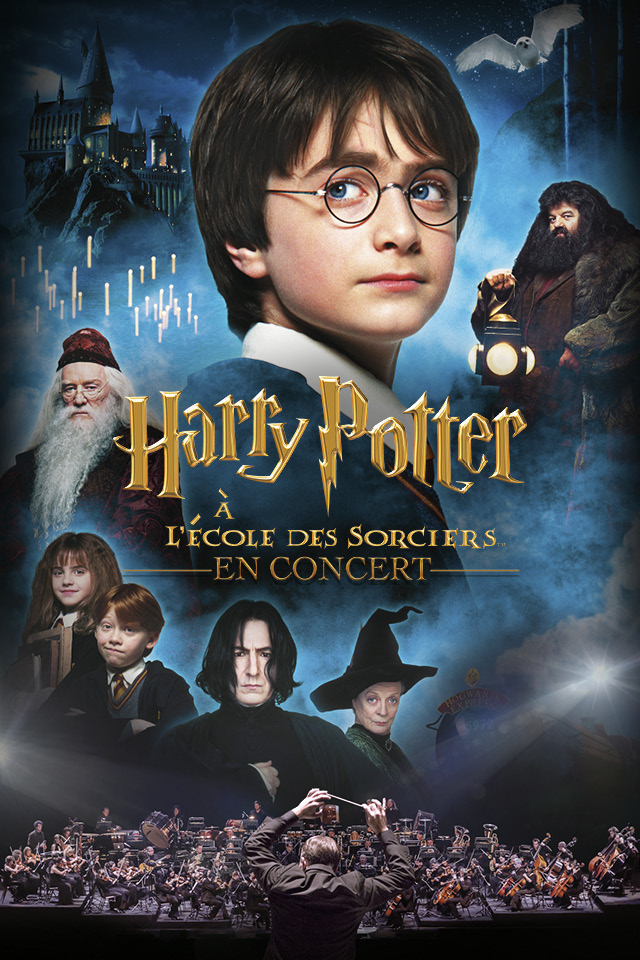 Harry Potterà l'Ecole des Sociers